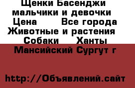 Щенки Басенджи ,мальчики и девочки › Цена ­ 1 - Все города Животные и растения » Собаки   . Ханты-Мансийский,Сургут г.